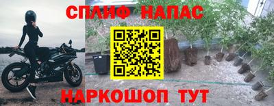 прущие крисы Гусев