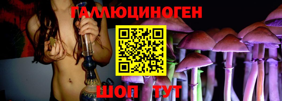 Галлюциногенные грибы Psilocybine cubensis Мурино