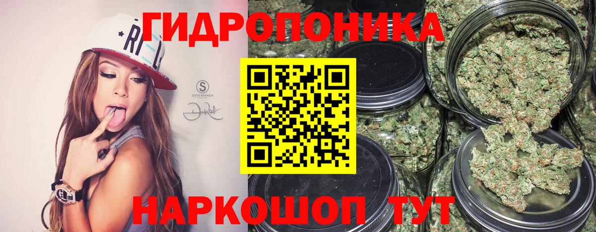 Мурино  Канабис сатива  Каннабис MAZAR  Вход с VPN  Каннабис планчик 